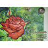 Папка для акварели 20л. А3 "Ирисы", блок рис.бум. 180г/м2 Па20А3_013 Спейс