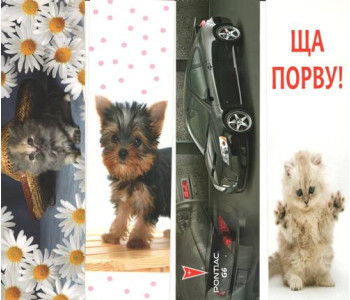 Закладка для книг (в ассортименте.)  Новая идея