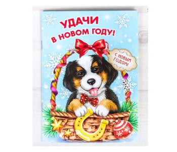 Блокнот-раскраска "Удачи в Новом году!", 12 страниц   2291519