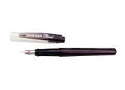 Ручка перьевая PEARL 80756 Centrum