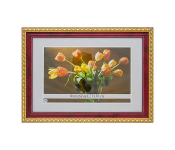 Фоторамка пластик  красный/золото 21*30см №291 291-2169-5 (21x30) МирРамок