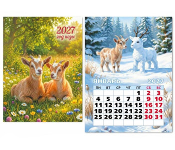 Календарь настенный отрывной 2027г. 100*135, Квадра Символ года 7, на магните 10334