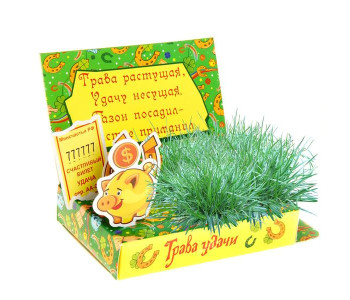Открытка-прорастайка "Трава удачи", 12 х 25 см 870767