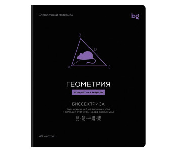 Тетрадь предм. 48л BG "Формула предмета" - Геометрия, выб. лак ТП5ск48_вл 09208