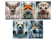 Тетрадь 48л А5 кл. "Wild", суперэконом Т5ск48 60312 BG Тетрадь 48л А5 кл. "Wild", суперэконом Т5ск48 60312 BG