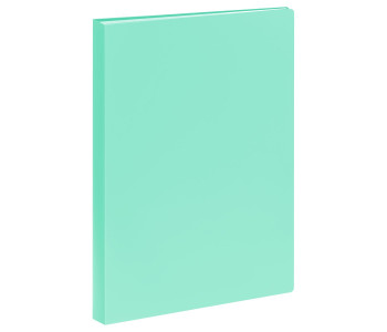 Папка 30 вклад. СТАММ А4, 17мм, 500мкм, пластик, пастель, мятная ММ-325171
