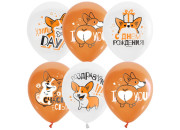 Воздушные шары, М12/30см, ПатиБум "White&Orange. Корги. С днем рождения",