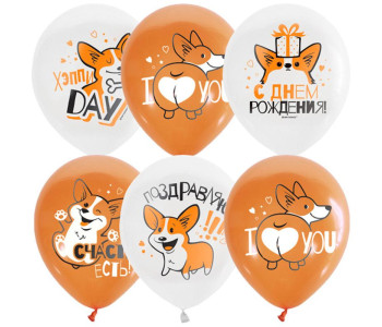 Воздушные шары, М12/30см, ПатиБум "White&Orange. Корги. С днем рождения",